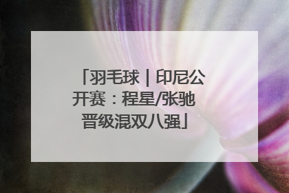 羽毛球｜印尼公开赛：程星/张驰晋级混双八强