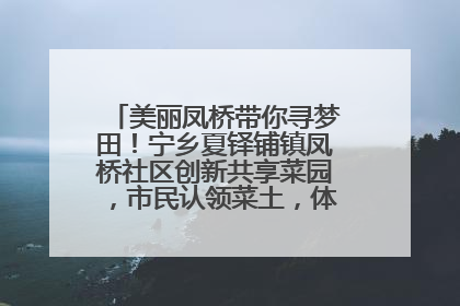 美丽凤桥带你寻梦田！宁乡夏铎铺镇凤桥社区创新共享菜园，市民认领菜土，体验耕种收获乐趣