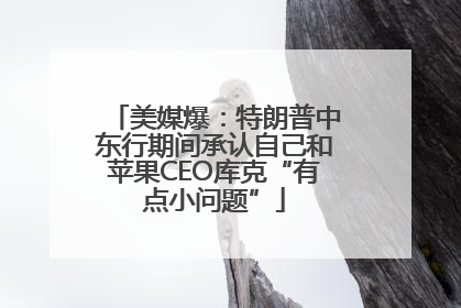 美媒爆：特朗普中东行期间承认自己和苹果CEO库克“有点小问题”