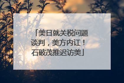 美日就关税问题谈判，美方内讧！石破茂推迟访美