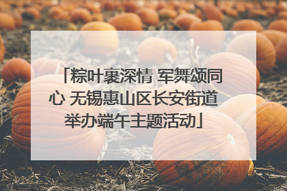 粽叶裹深情 军舞颂同心 无锡惠山区长安街道举办端午主题活动