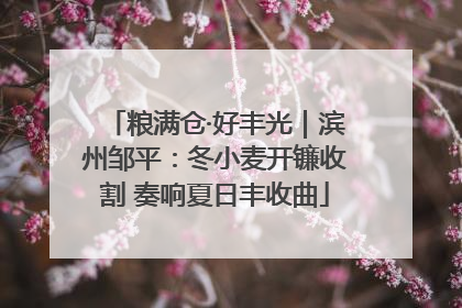 粮满仓·好丰光｜滨州邹平：冬小麦开镰收割 奏响夏日丰收曲