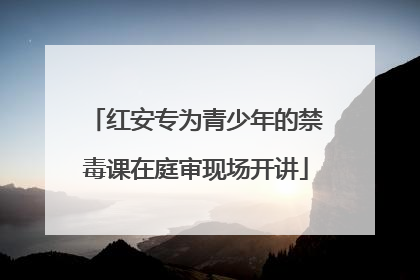 红安专为青少年的禁毒课在庭审现场开讲