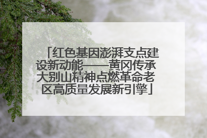 红色基因澎湃支点建设新动能——黄冈传承大别山精神点燃革命老区高质量发展新引擎