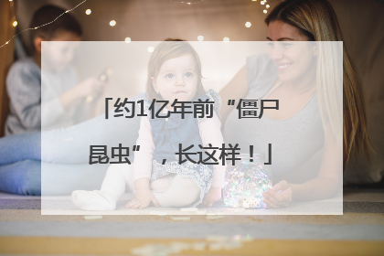 约1亿年前“僵尸昆虫”，长这样！