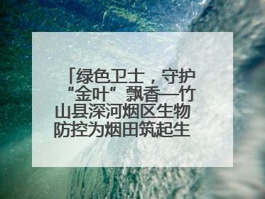 绿色卫士，守护“金叶”飘香—竹山县深河烟区生物防控为烟田筑起生态屏障