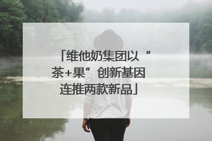 维他奶集团以“茶+果”创新基因连推两款新品