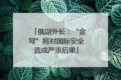 俄副外长：“金穹”将对国际安全造成严重后果