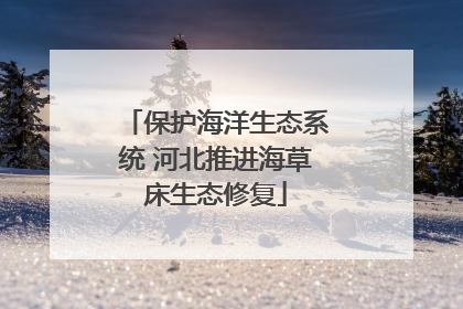 保护海洋生态系统 河北推进海草床生态修复