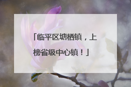 临平区塘栖镇，上榜省级中心镇！