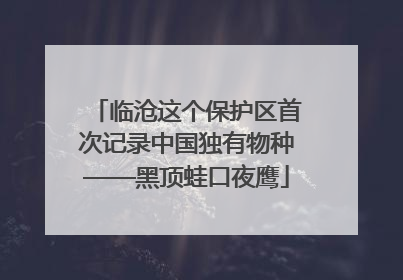 临沧这个保护区首次记录中国独有物种——黑顶蛙口夜鹰
