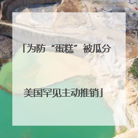 为防“蛋糕”被瓜分 美国罕见主动推销