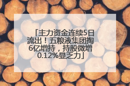 主力资金连续5日流出！五粮液集团掏6亿增持，持股微增0.12%显乏力