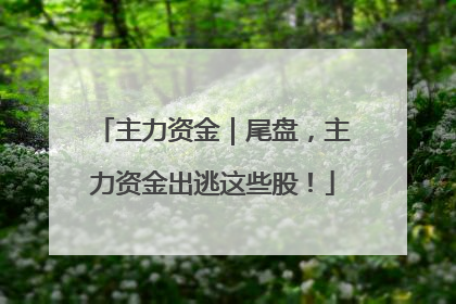 主力资金｜尾盘，主力资金出逃这些股！