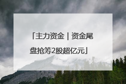主力资金｜资金尾盘抢筹2股超亿元