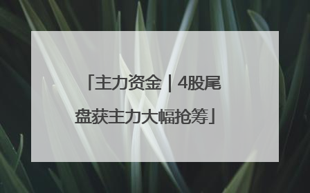 主力资金｜4股尾盘获主力大幅抢筹