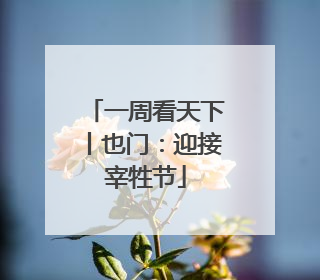 一周看天下丨也门：迎接宰牲节