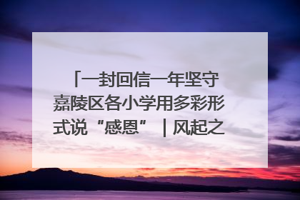 一封回信一年坚守 嘉陵区各小学用多彩形式说“感恩”｜风起之江 扶摇直上