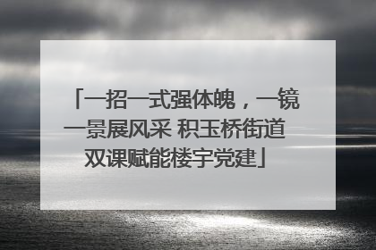 一招一式强体魄，一镜一景展风采 积玉桥街道双课赋能楼宇党建