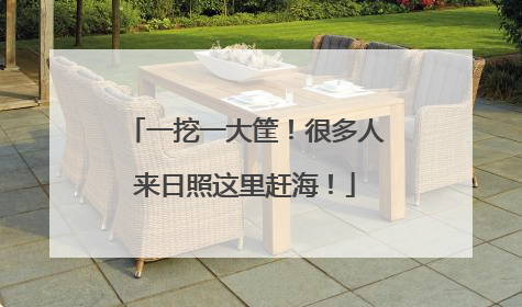 一挖一大筐！很多人来日照这里赶海！