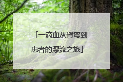 一滴血从臂弯到患者的漂流之旅