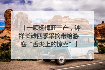 一颗杨梅旺三产，钟祥长滩四季采摘带给游客“舌尖上的惊喜”