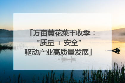 万亩黄花菜丰收季：“质量 + 安全” 驱动产业高质量发展