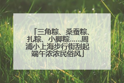 三角粽、桑蚕粽、扎粽、小脚粽……周浦小上海步行街刮起端午浓浓民俗风