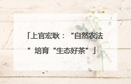 上官宏耿：“自然农法”培育“生态好茶”