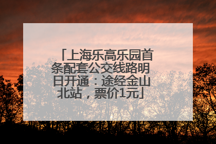 上海乐高乐园首条配套公交线路明日开通：途经金山北站，票价1元