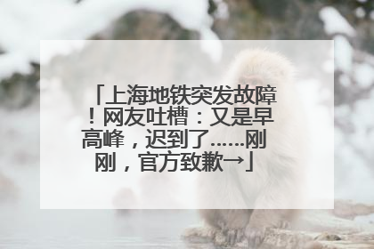 上海地铁突发故障！网友吐槽：又是早高峰，迟到了……刚刚，官方致歉→
