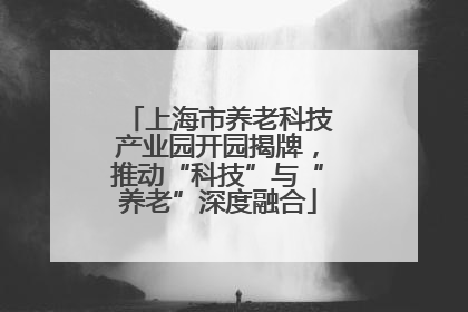 上海市养老科技产业园开园揭牌，推动“科技”与“养老”深度融合