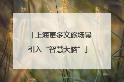上海更多文旅场景引入“智慧大脑”