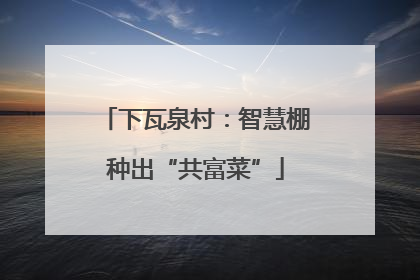 下瓦泉村：智慧棚种出“共富菜”