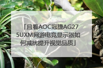 且看AOC冠捷AG275UXM网游电竞显示器如何减扰提升视觉品质