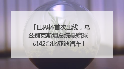 世界杯首次出线，乌兹别克斯坦总统豪赠球员42台比亚迪汽车