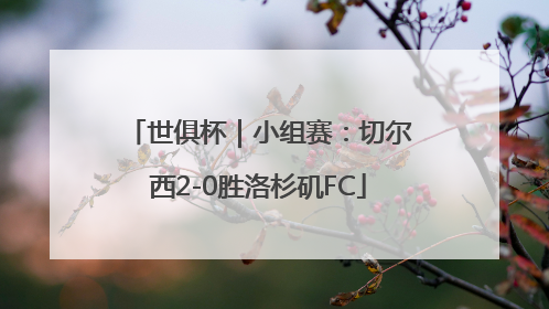世俱杯｜小组赛：切尔西2-0胜洛杉矶FC