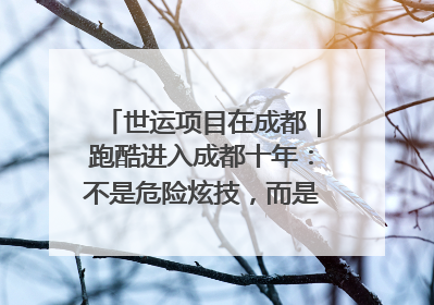 世运项目在成都｜跑酷进入成都十年：不是危险炫技，而是教会人自救