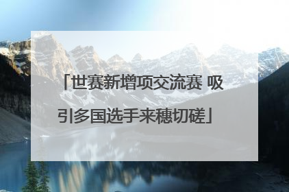 世赛新增项交流赛 吸引多国选手来穗切磋
