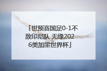 世预赛国足0-1不敌印尼队 无缘2026美加墨世界杯
