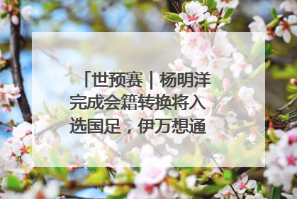 世预赛｜杨明洋完成会籍转换将入选国足，伊万想通了要打双后腰？