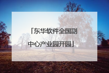 东华软件全国副中心产业园开园