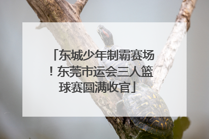 东城少年制霸赛场！东莞市运会三人篮球赛圆满收官