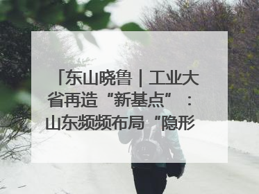 东山晓鲁｜工业大省再造“新基点”：山东频频布局“隐形冠军”背后
