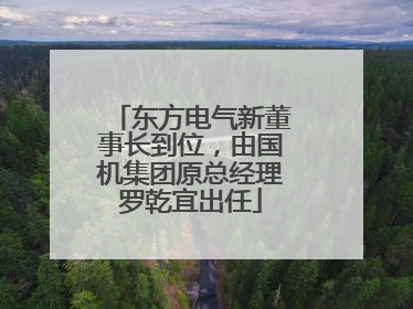 东方电气新董事长到位，由国机集团原总经理罗乾宜出任