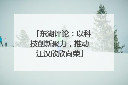东湖评论：以科技创新聚力，推动江汉欣欣向荣