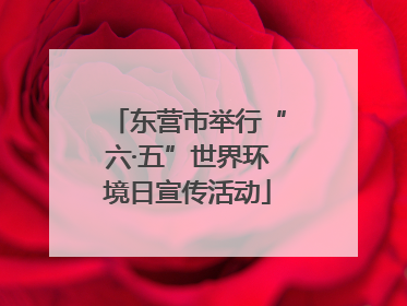 东营市举行“六·五”世界环境日宣传活动
