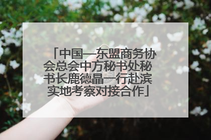 中国—东盟商务协会总会中方秘书处秘书长鹿德晶一行赴滨实地考察对接合作