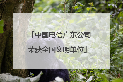 中国电信广东公司荣获全国文明单位