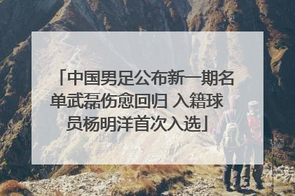 中国男足公布新一期名单武磊伤愈回归 入籍球员杨明洋首次入选